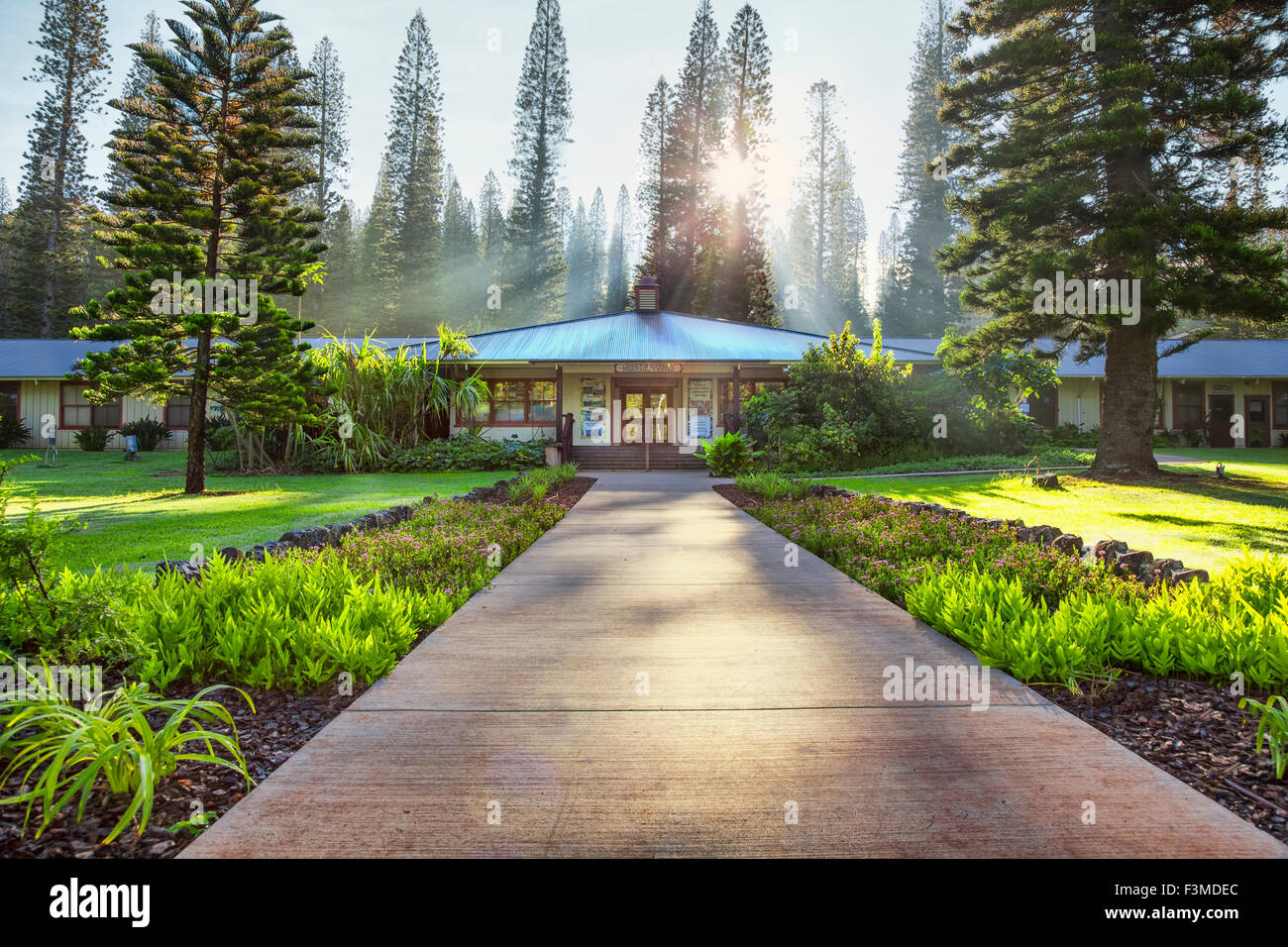 Dawn,Fog,Footpath,Hawaii,Scenic Stock Photo