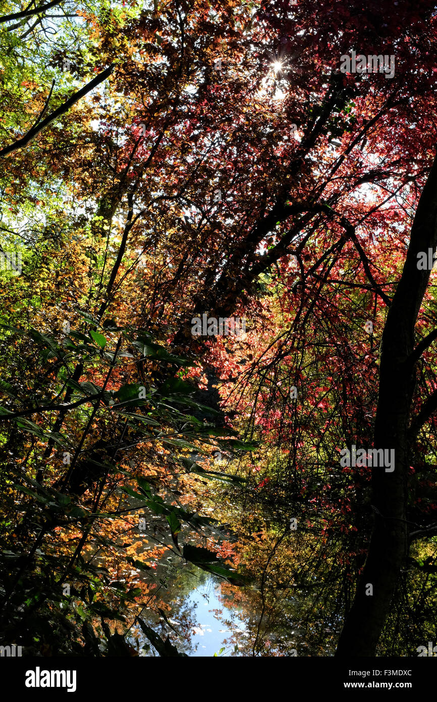 Shipton under wychwood hires stock photography and images Alamy