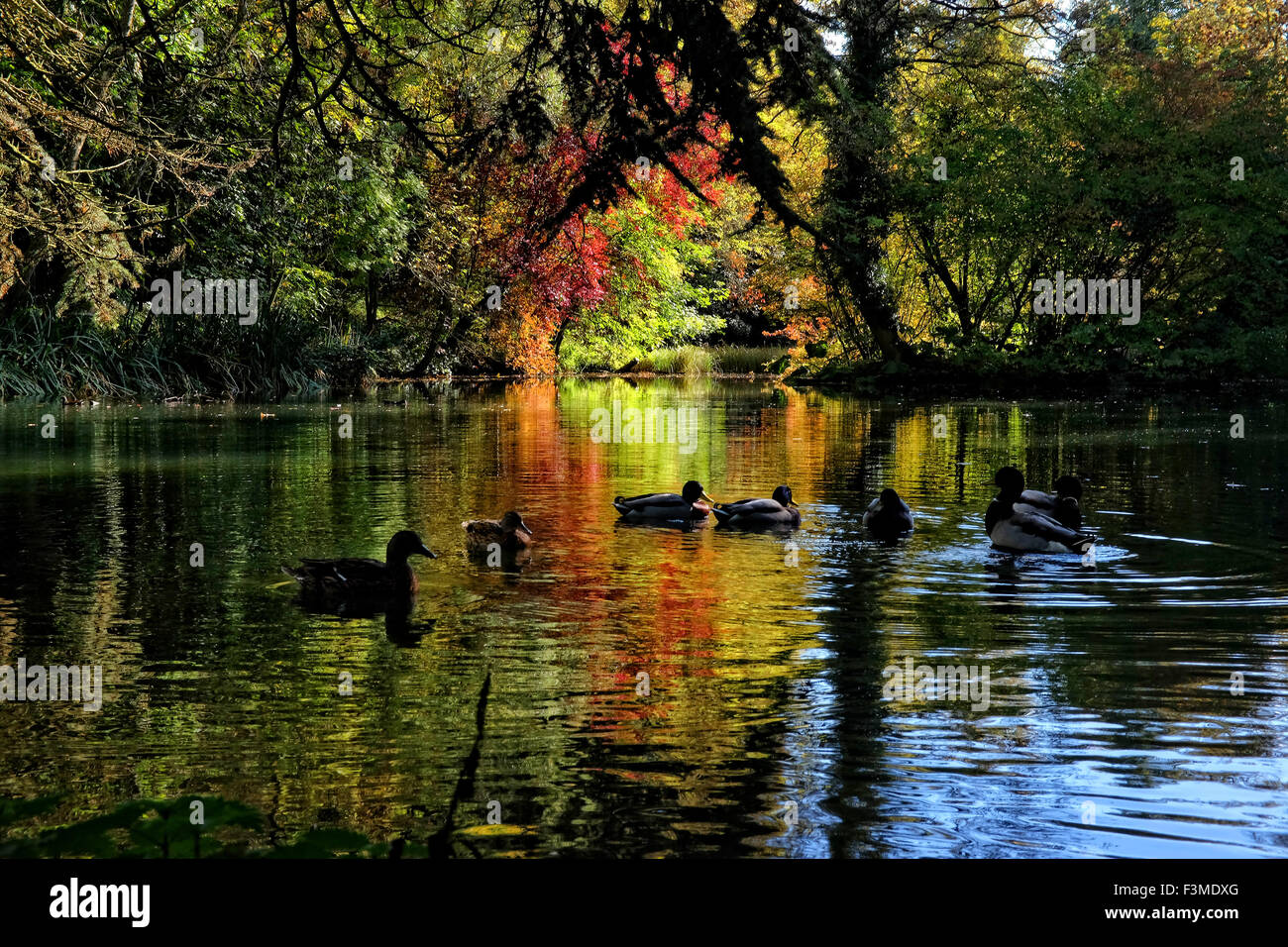 Shipton under wychwood hires stock photography and images Alamy