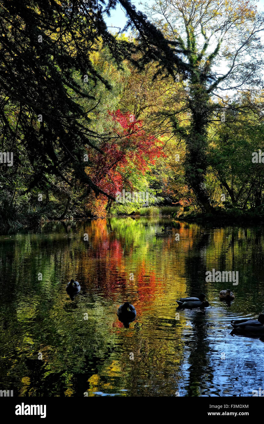 Shipton under wychwood hires stock photography and images Alamy