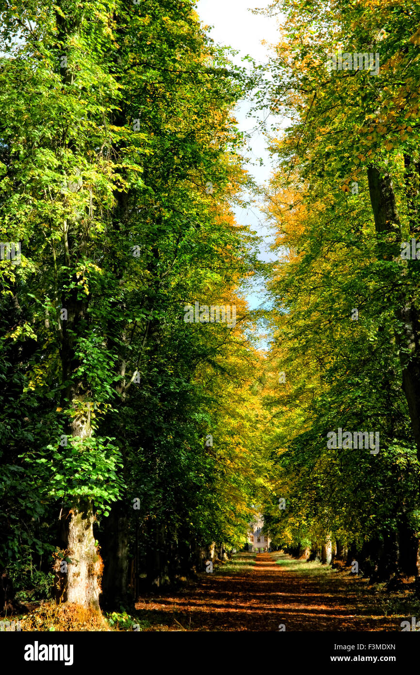 Shipton under wychwood hires stock photography and images Alamy
