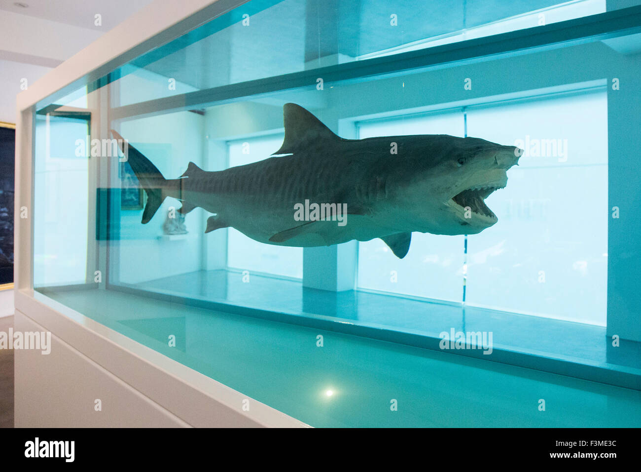 Heaven, a large shark suspended in a tank filled with a formaldehyde solution (2008-2009) by Damien Hirst. The Big Blue, on display at Ordovas in Savile Row from 25 September to 12 December 2015, is an exhibition of work inspired by the sea spanning almost two millennia. Stock Photo