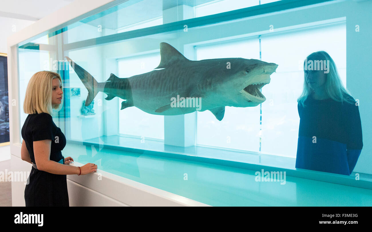 Two Ordovas employees look at Heaven, a large shark suspended in a tank filled with a formaldehyde solution (2008-2009) by Damien Hirst. The Big Blue, on display at Ordovas in Savile Row from 25 September to 12 December 2015, is an exhibition of work inspired by the sea spanning almost two millennia. Stock Photo