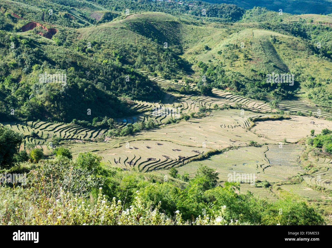 Agricultural landscape, Burma Stock Photo