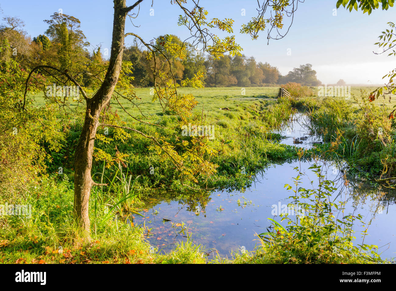 Countryside field with water in Autumn in the early morning sun in Arundel, West Sussex, England, UK. Stock Photo