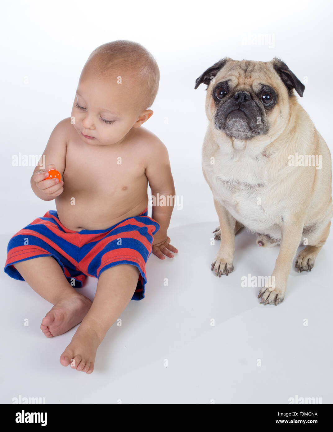 Baby boy posing in studio with a Pug dog. Stock Photo