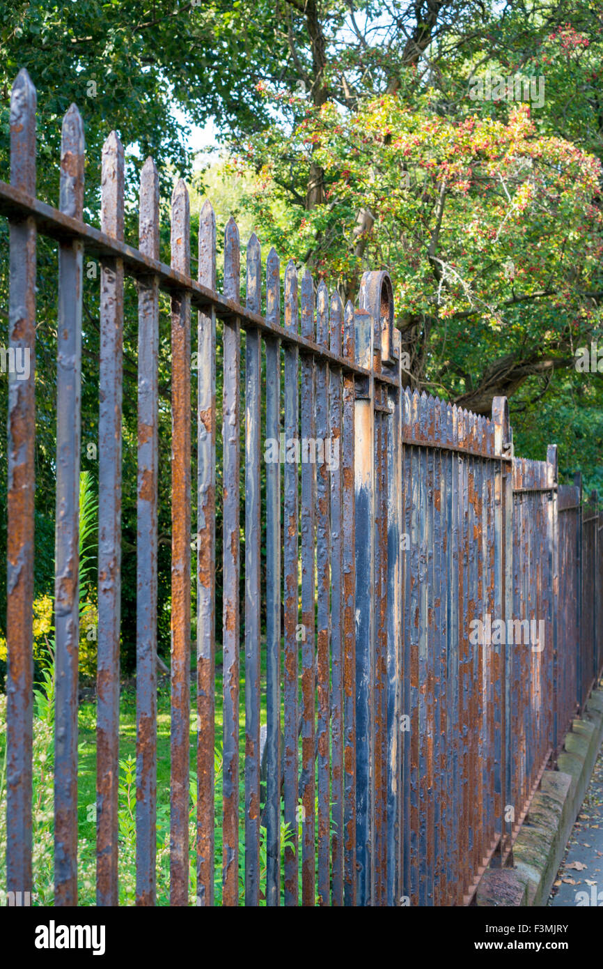 Natural Rust Fence Rust fence hi-res stock photography and images - Alamy