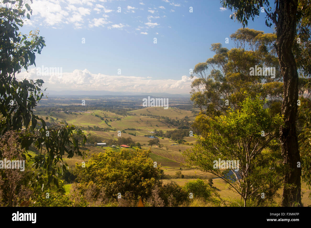 Lower Hunter Valley general view including vineyards fields and distant