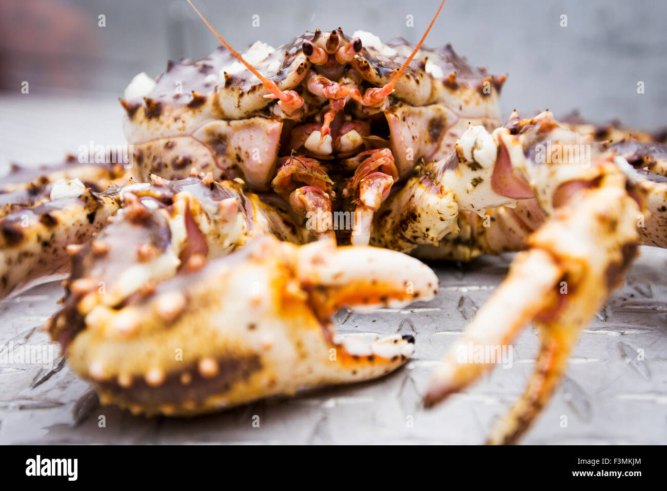 Fishing,Alaska,Red King Crab Stock Photo Alamy