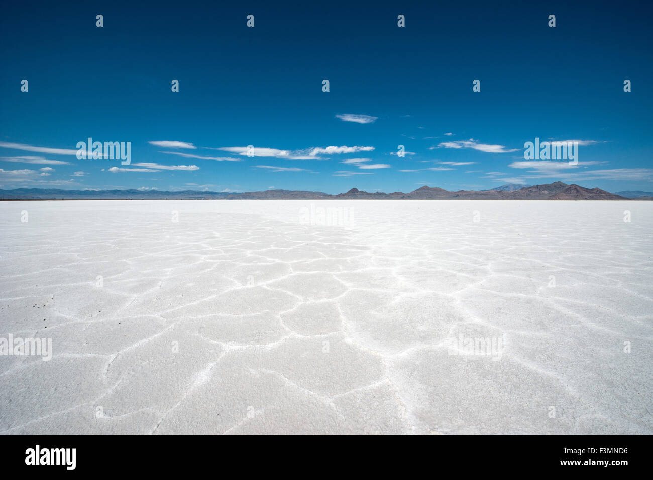 Bonneville salt flats, Utah Stock Photo Alamy