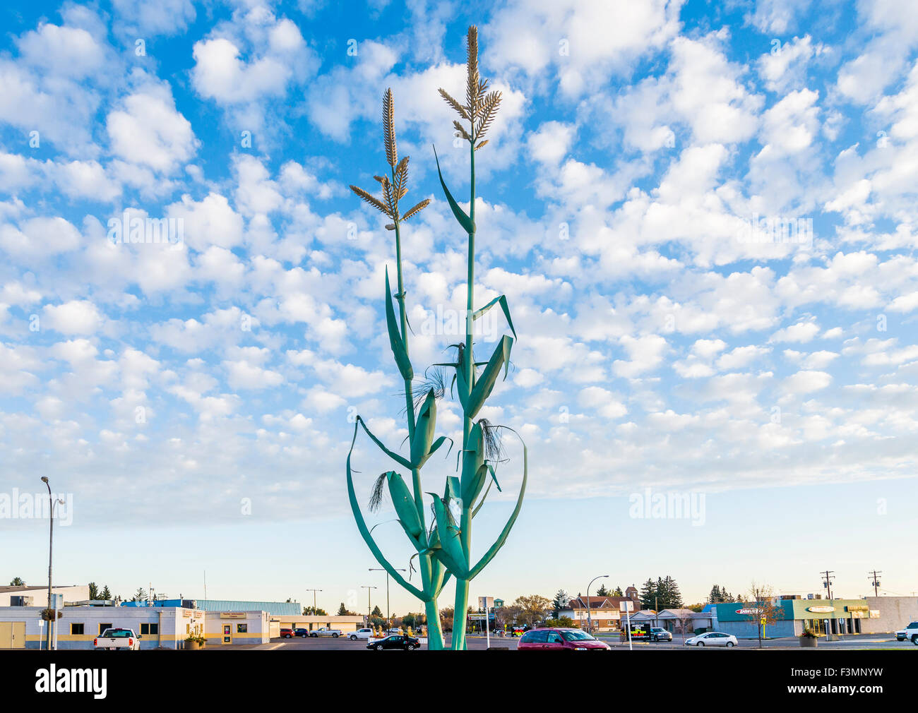 Giant corn sculpturem Taber, Alberta, Canada Stock Photo 88352093 Alamy