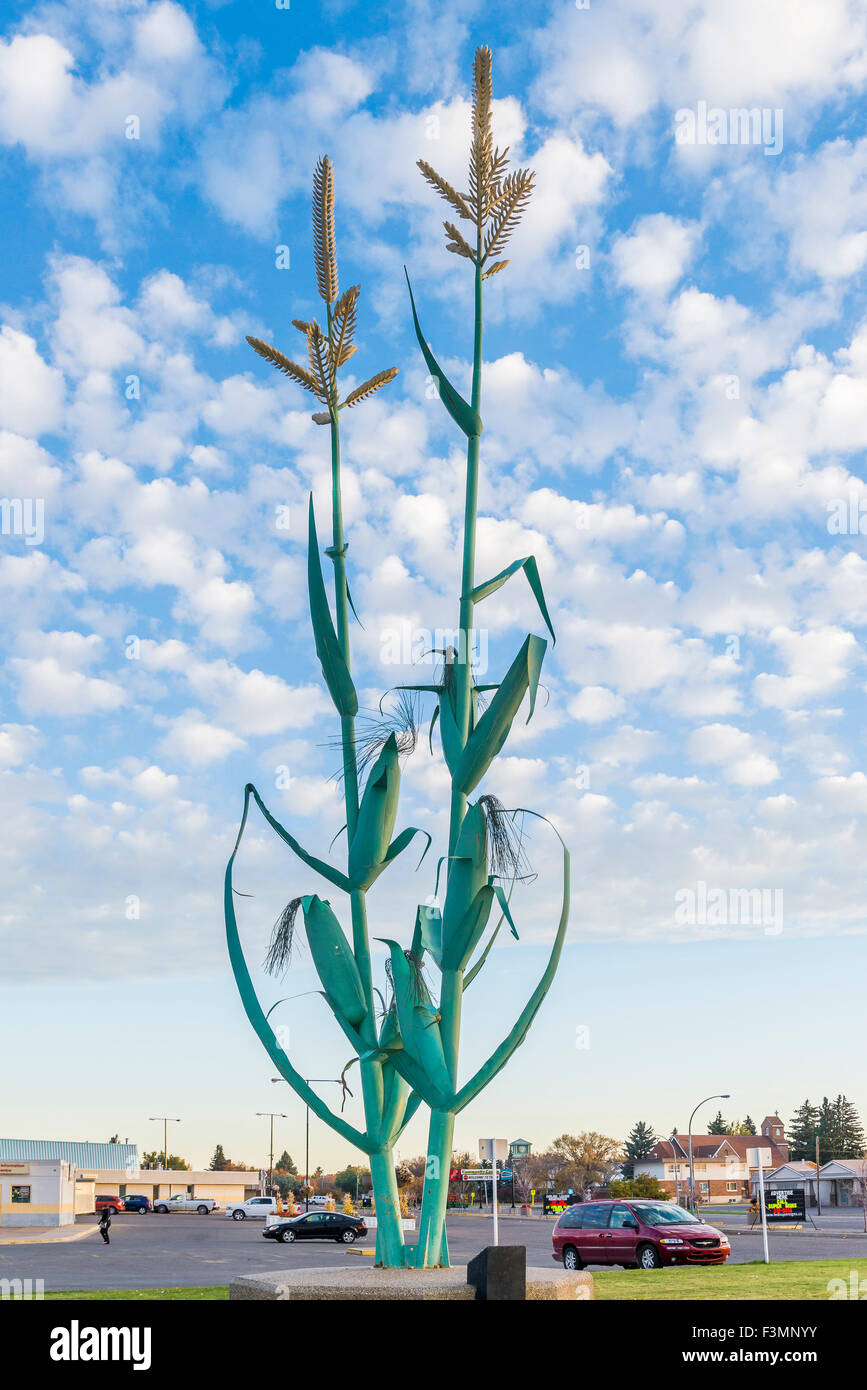 Giant corn sculpture Taber, Alberta, Canada Stock Photo Alamy