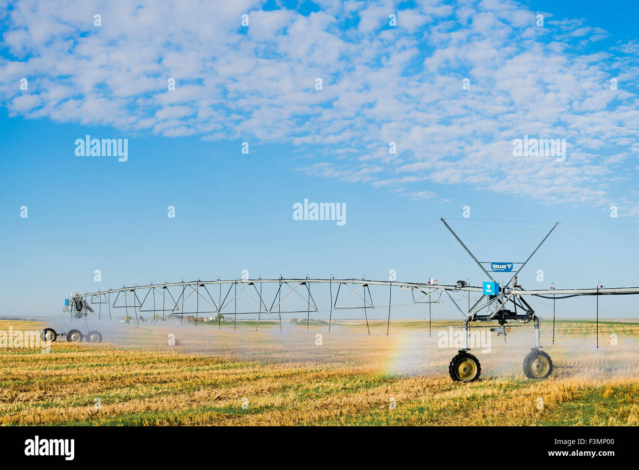 Valley irrigation machine watering a farm field in S.. Alberta, Canada Stock Photo