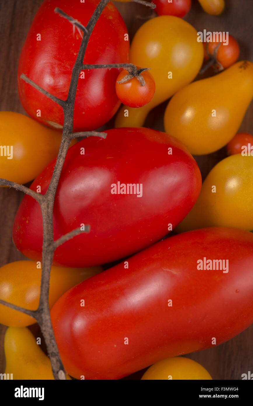 Close up of a bunch of garden cherry tomatoes in red and yellow Stock Photo