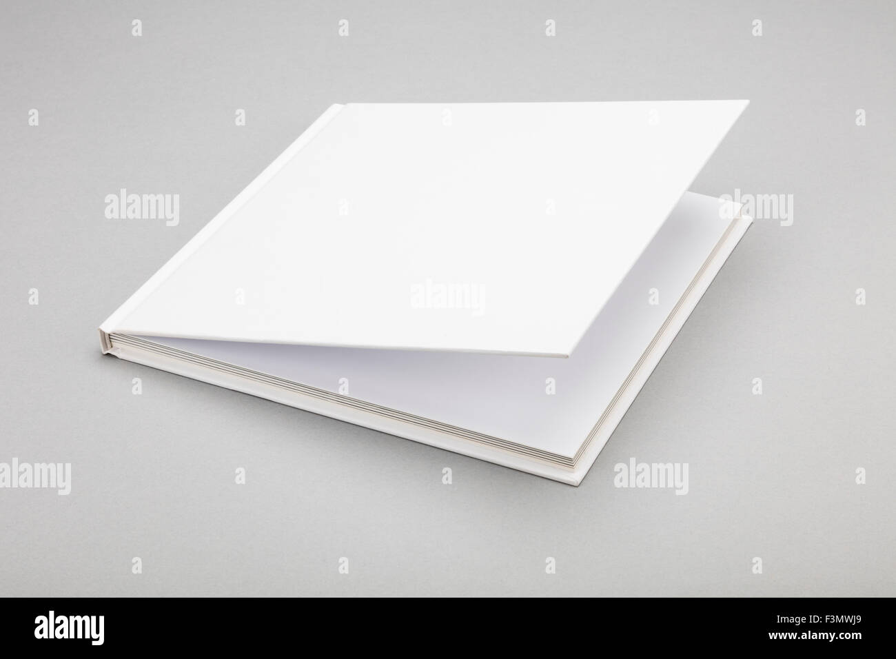 630+ Blank Book Opened To The First Page Stock Photos, Pictures