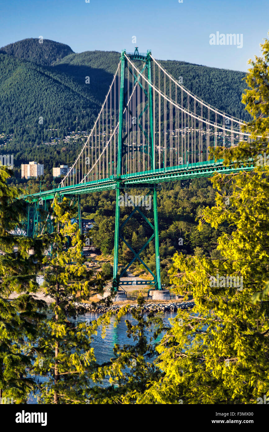 Side view of the Lions Gate Bridge, from Stanley Park Stock Photo Alamy