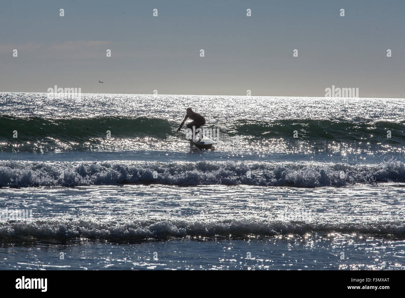 Surfing woman hi-res stock photography and images - Alamy