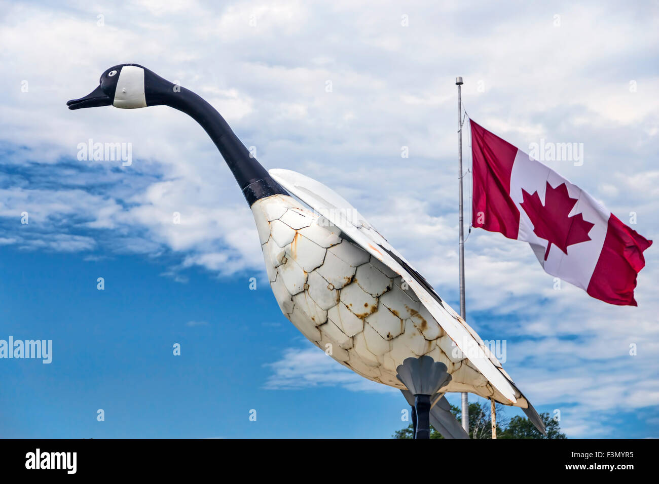 The famouse Canada Goose in Wawa, Ontario. Stock Photo