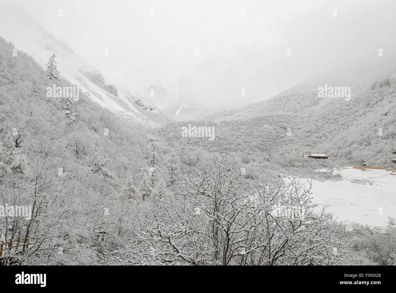 Fog covered valley hi-res stock photography and images - Alamy
