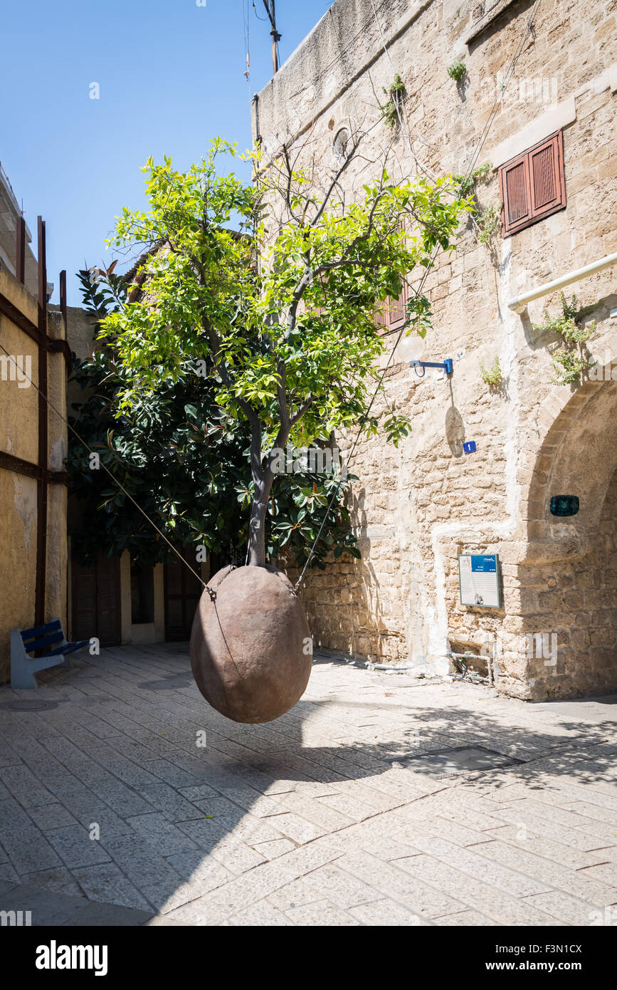 Hanging tree in old jaffa hires stock photography and images Alamy