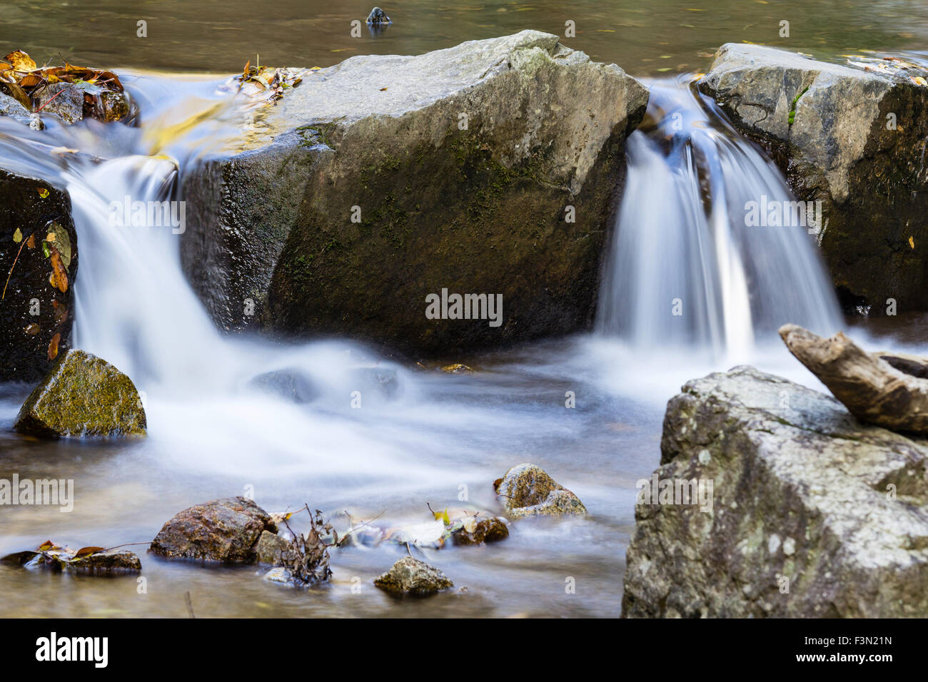 Kobe, Japan. River from Nunobiki falls, flowing over row of rocks making miniature waterfalls. Autumn, trapped leaves in water and on rocks. Stock Photo