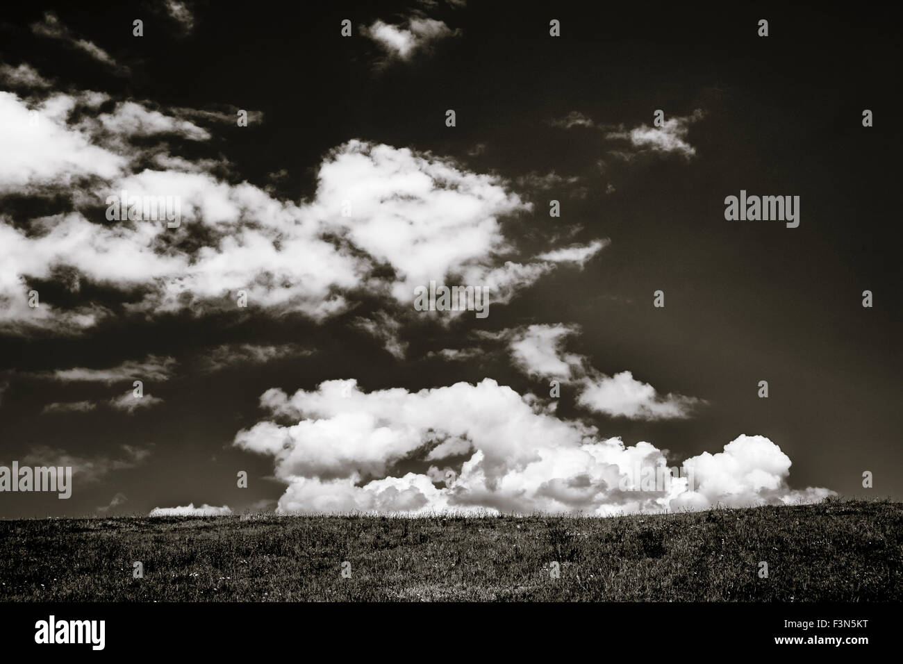 Black and white cloudscape with big white clouds over the grass. Photo taken in Transylvania, Romania. Stock Photo