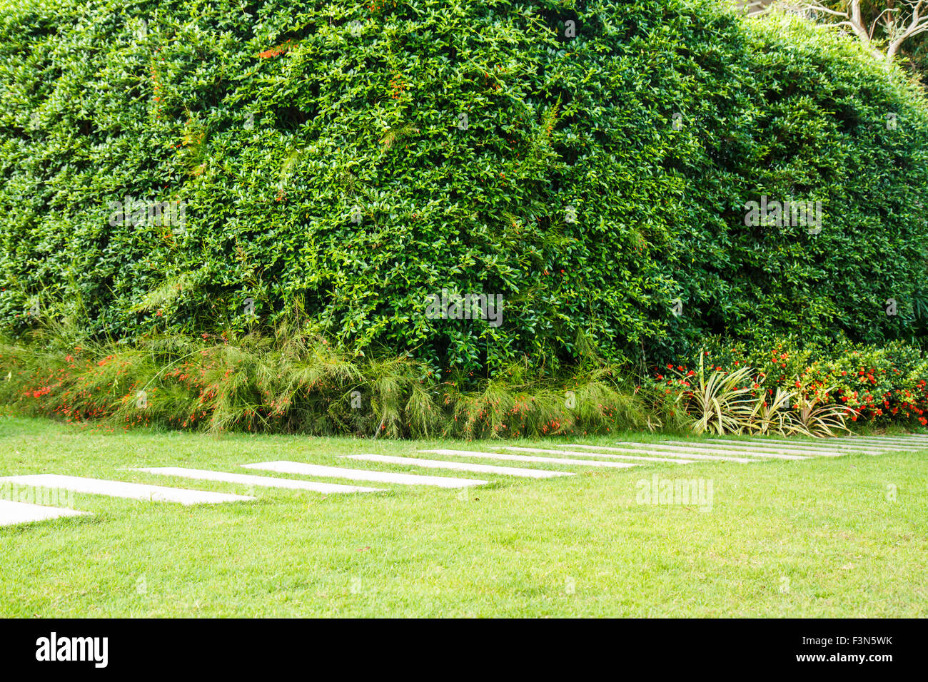 Green grass at the park hi-res stock photography and images - Alamy