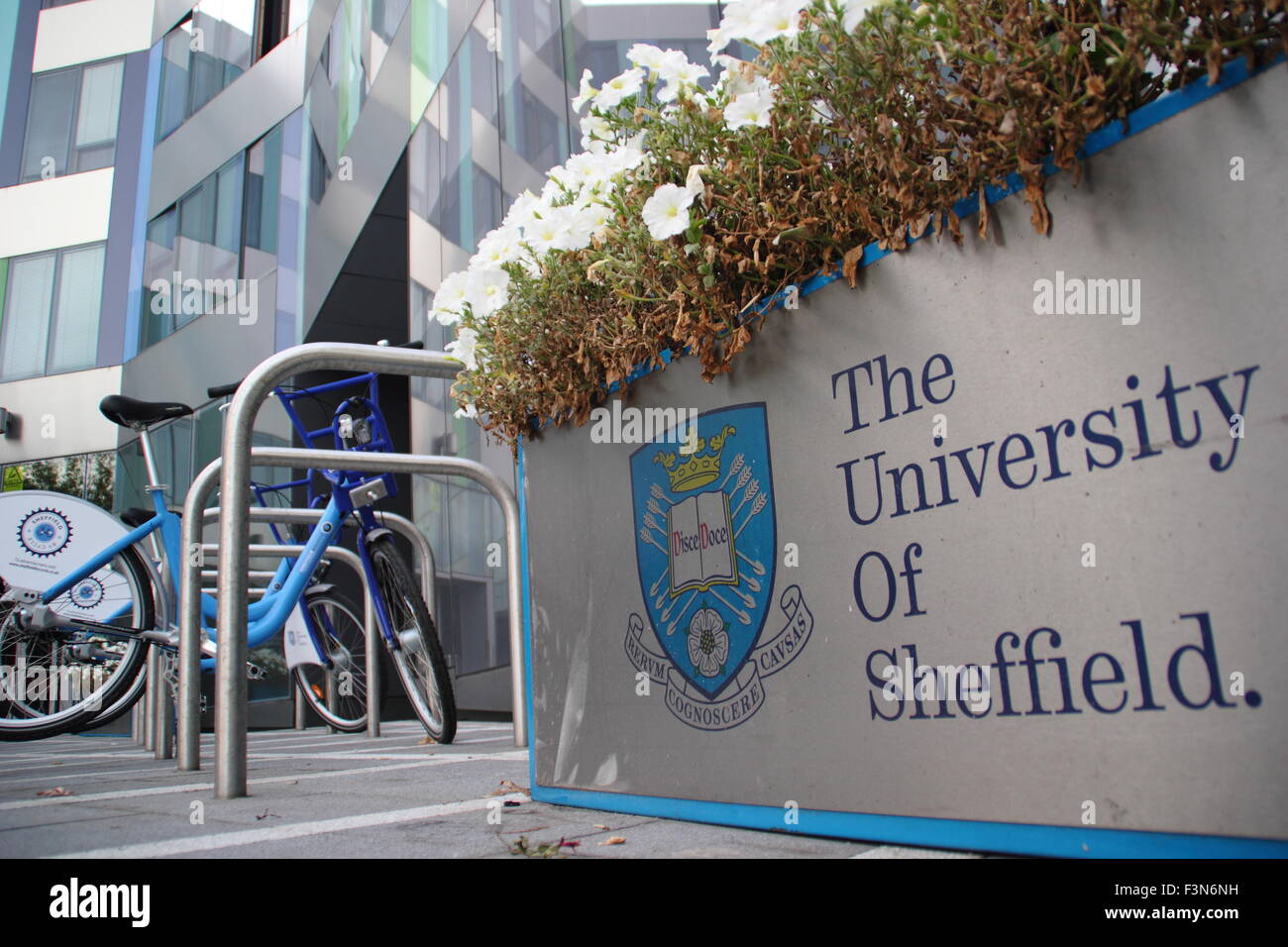 University of Sheffield's 'Sheffield bicycle' rental bicycles at a bike station on campus in Sheffield, Yorkshire, UK Stock Photo