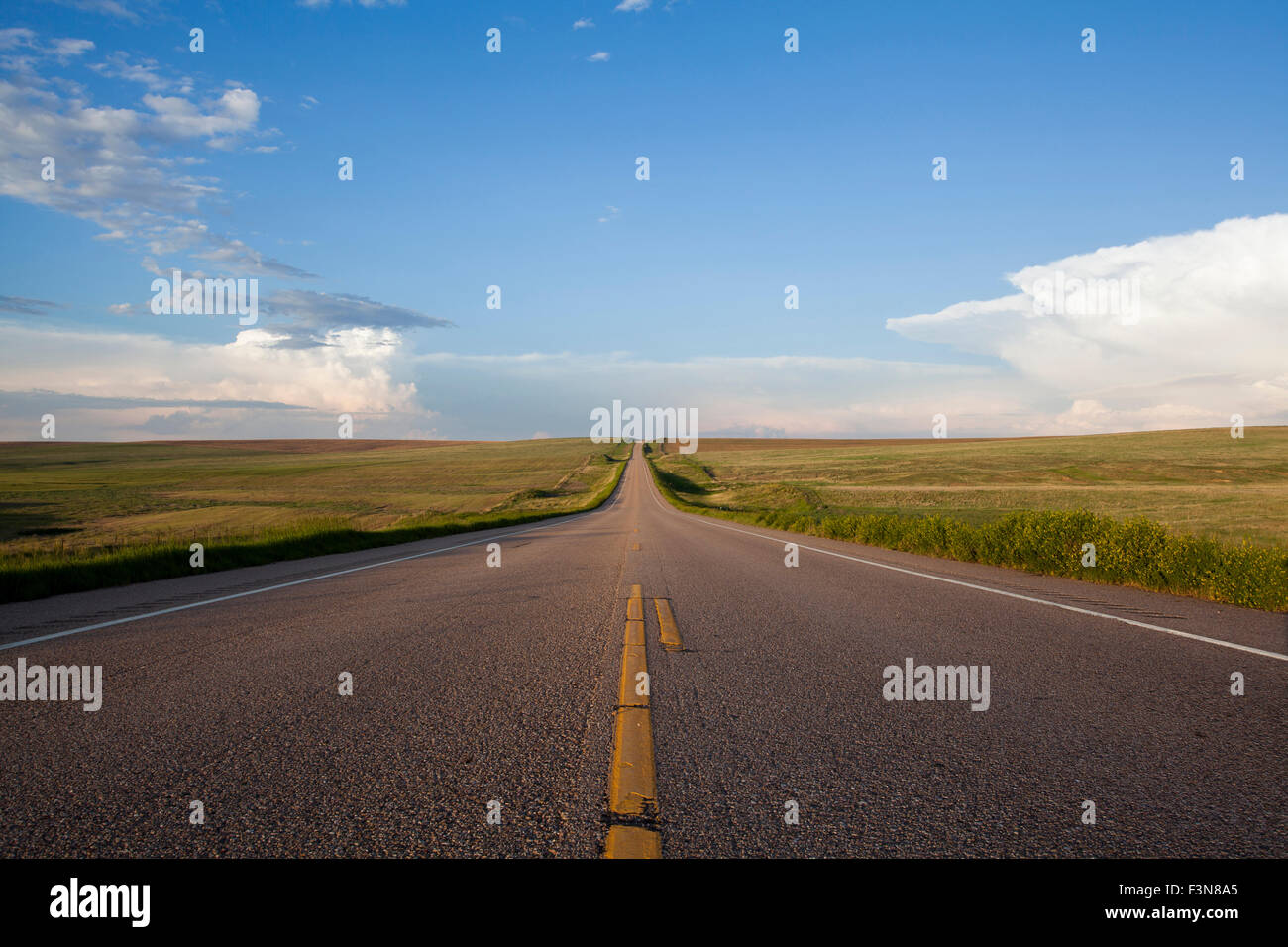 Straight road in the middle  of empty field, Colorado, USA Stock Photo