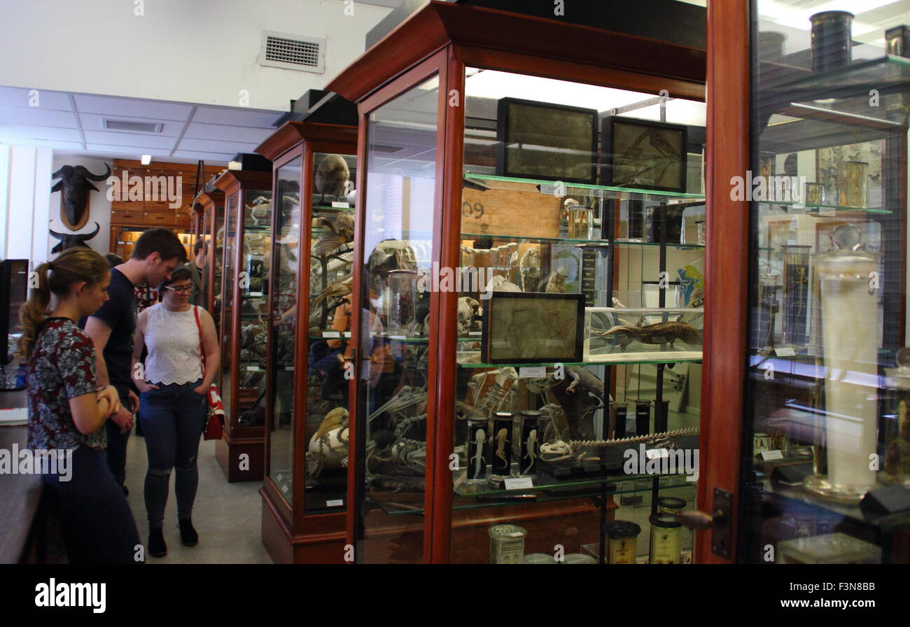 Zoological specimens displayed in glass inside The Alfred Denny Zoological Museum at