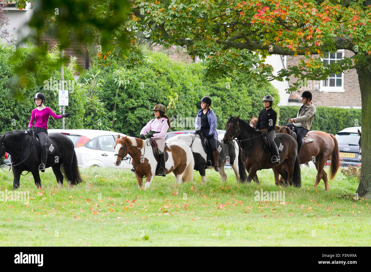Wimbledon, London, UK. 10th Oct, 2015. Autumn weather on Wimbledon