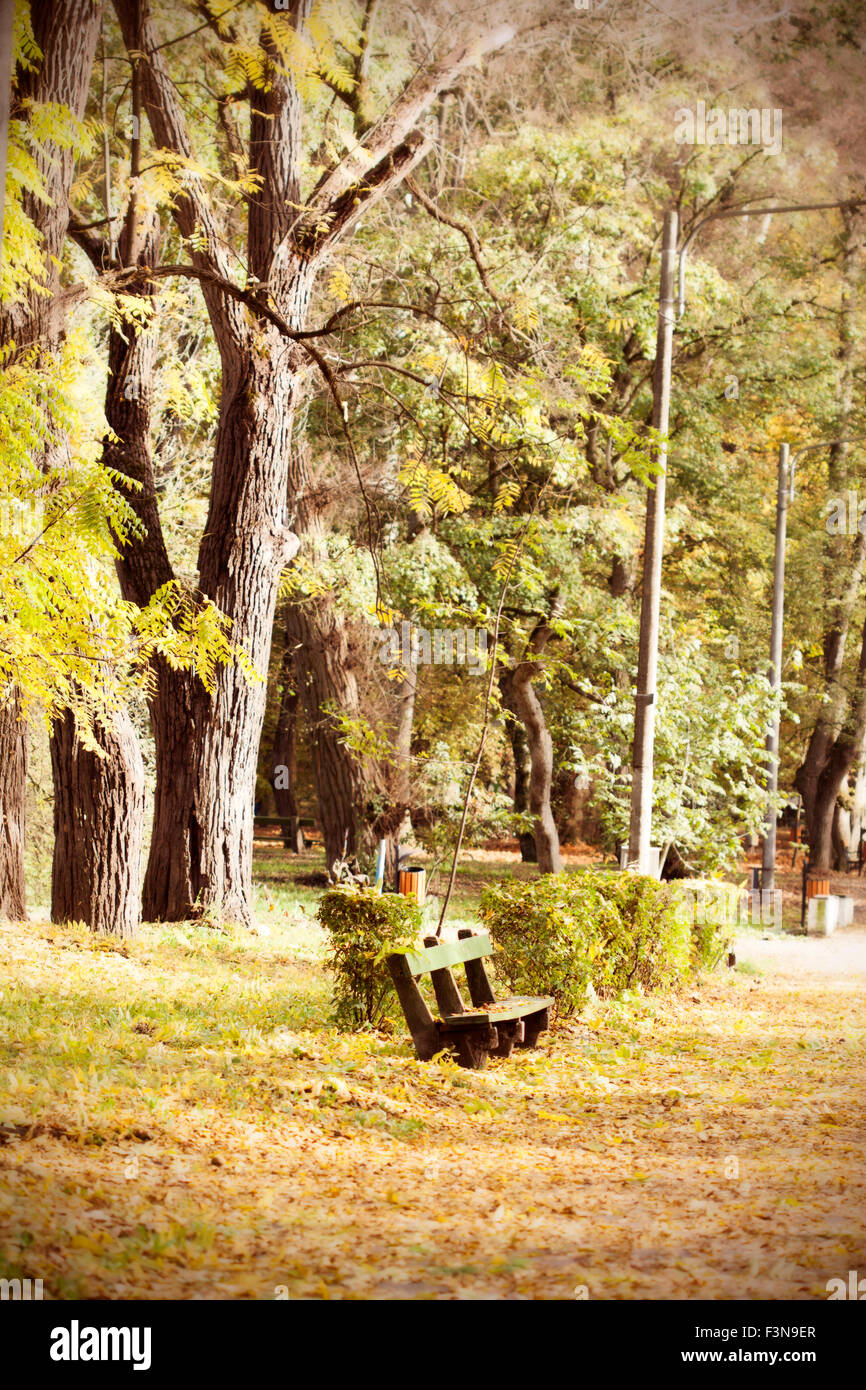 Wooden bench in autumn park - vintage photo Stock Photo - Alamy