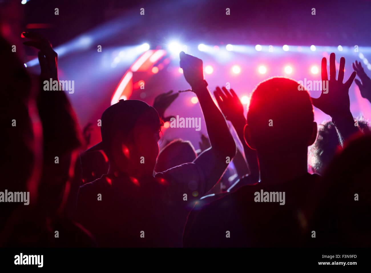 Cheering crowd at a concert Stock Photo - Alamy