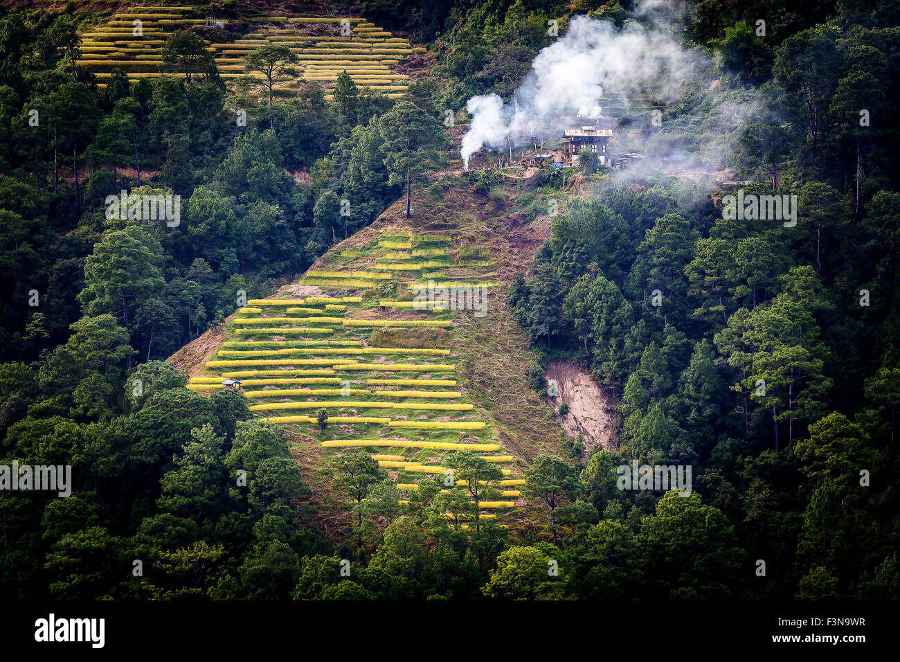 Lowland Rice Terraces Landscape with rice terraces Stock Photo - Alamy