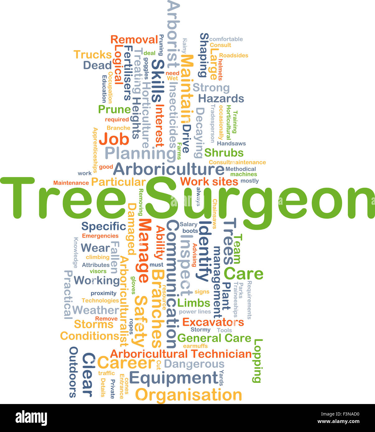 Background concept wordcloud illustration of tree surgeon Stock Photo
