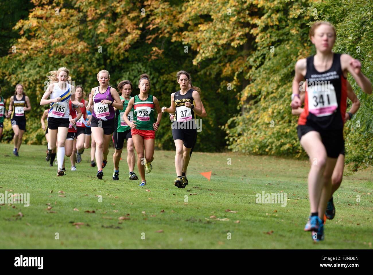 Manchester area cross country league hires stock photography and images Alamy