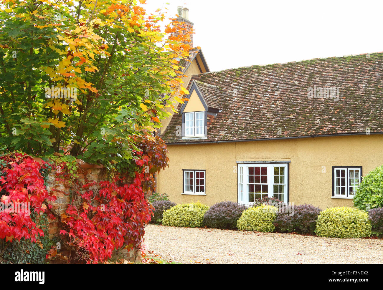 Southill Park, Bedfordshire, UK. 10th Oct, 2015. Colourful Autumn
