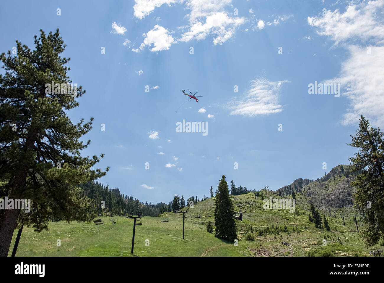 Industrial helicopter with trailing cable and hook in the mountains.  Tall pine trees and light rays lead to the helicopter. Stock Photo