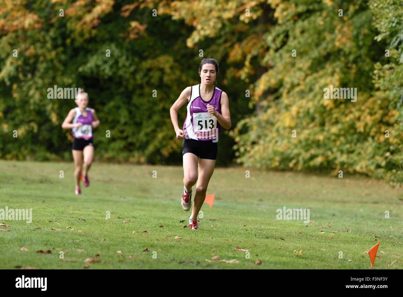 Woodbank High Resolution Stock Photography and Images Alamy