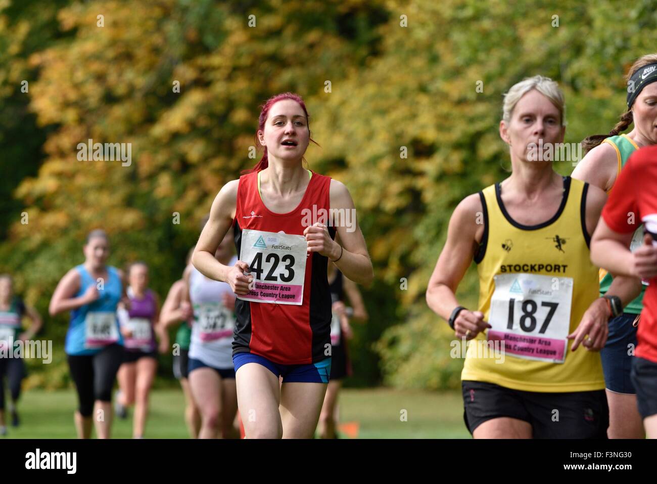 Woodbank High Resolution Stock Photography and Images Alamy