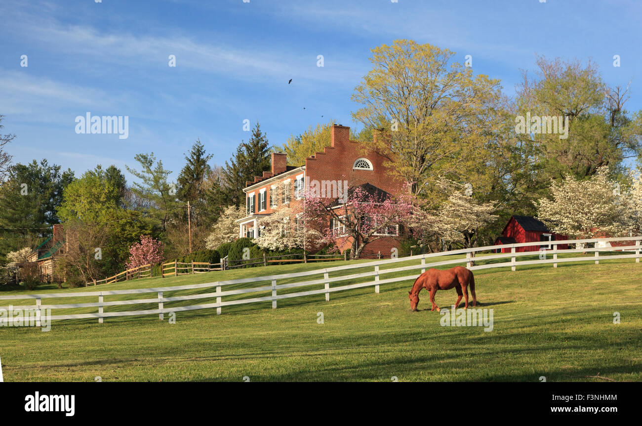 Home with countryside and horse pasture, Washington, Virginia, USA  - Middleton Inn circa 1840 Stock Photo