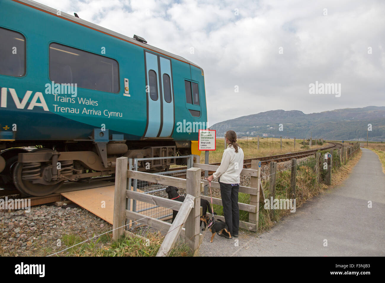 An Arriva train on the Cambrian Line near Barmouth Viaduct crossing the Mawddach estuary, Gwynedd, Wales, UK Stock Photo