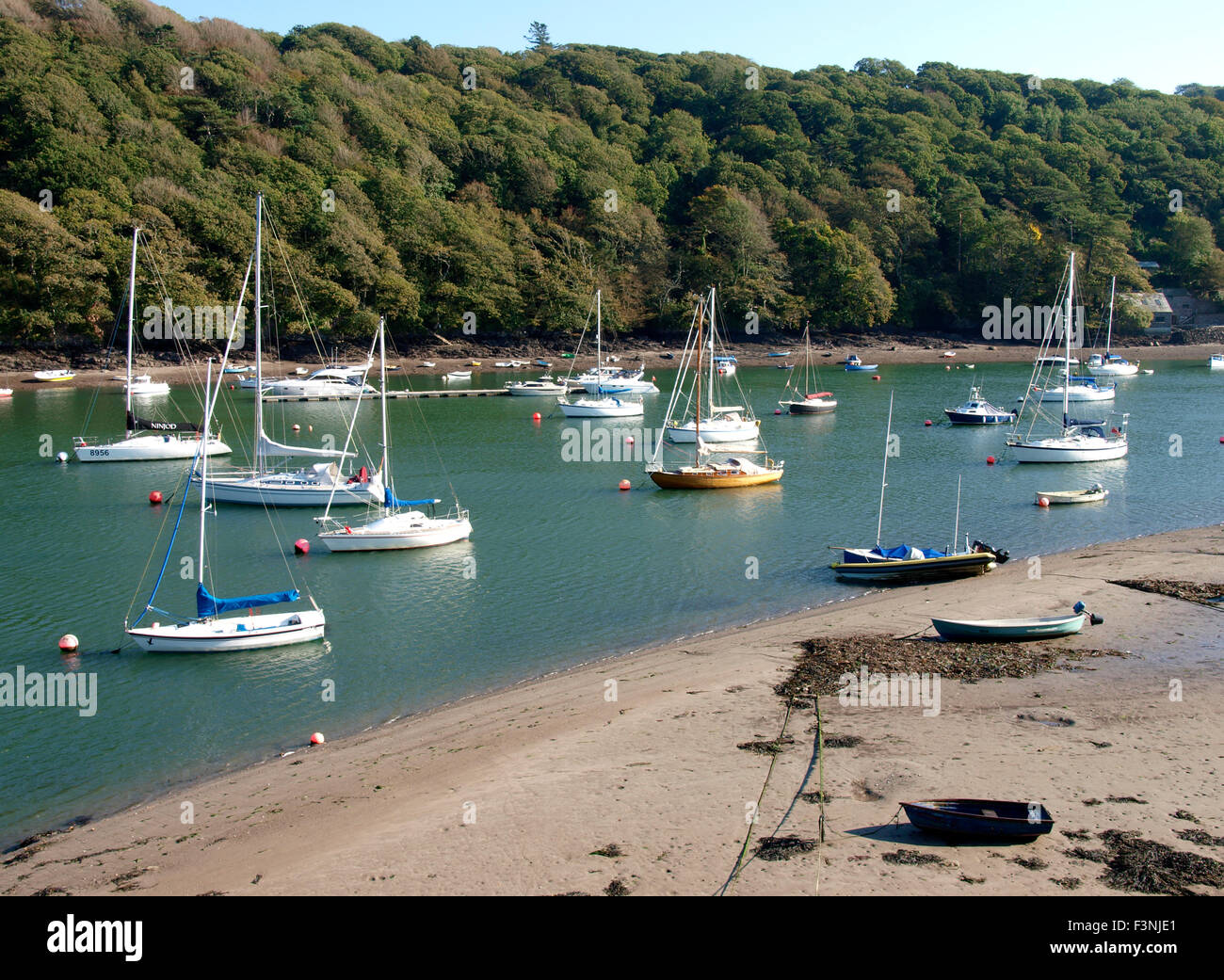 River Yealm, Devon, UK Stock Photo Alamy