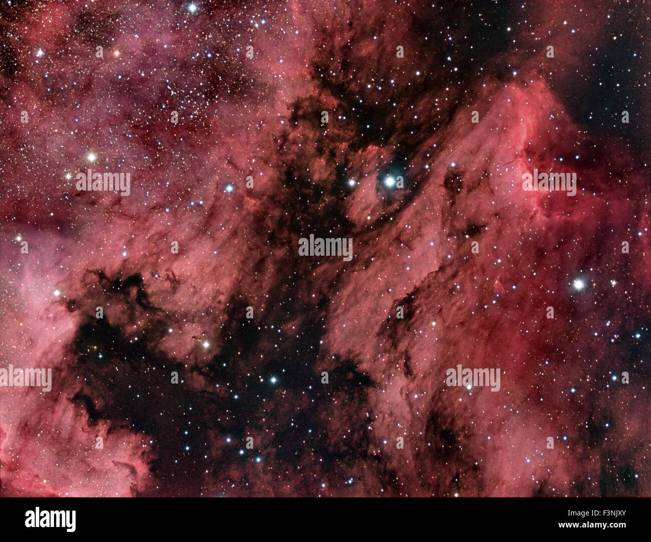 Pelican nebula in constellation Cygnus Stock Photo