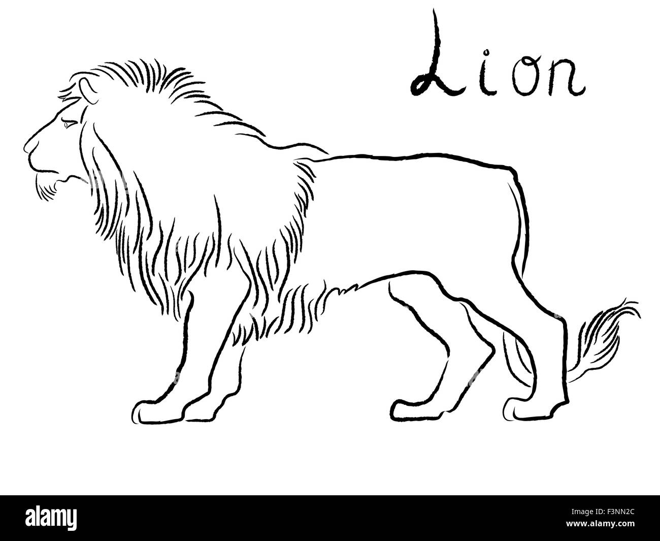 Black graceful Lion contour isolated over white. Hand drawing vector illustration Stock Vector