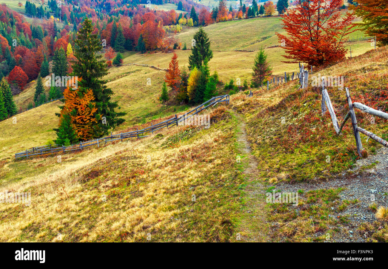 Colorful autumn landscape scene with fence in Transylvania mountain ...