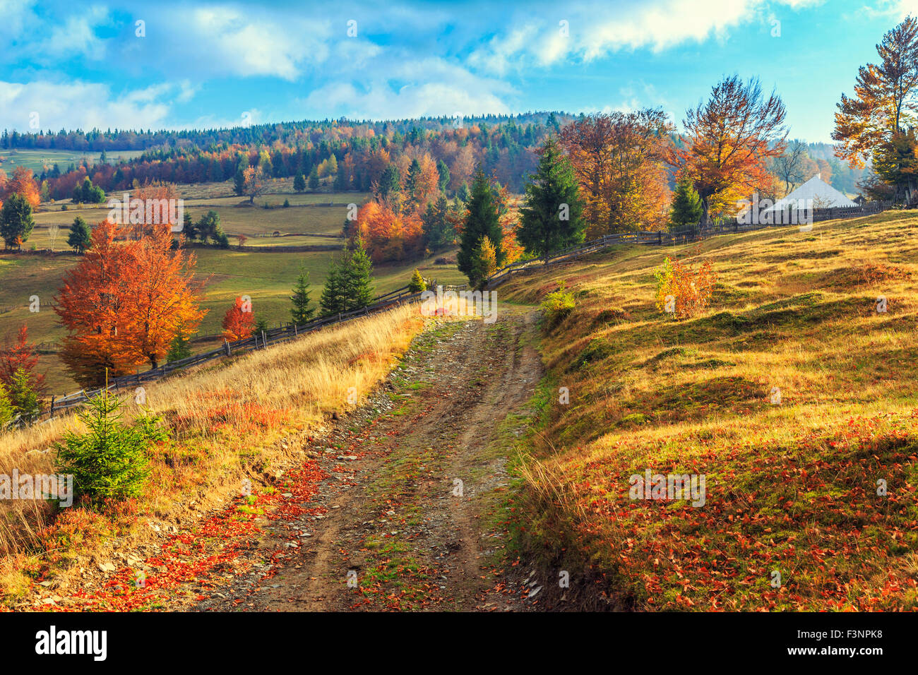 Morning in Carpathians mountain Transylvania,Romania Stock Photo - Alamy