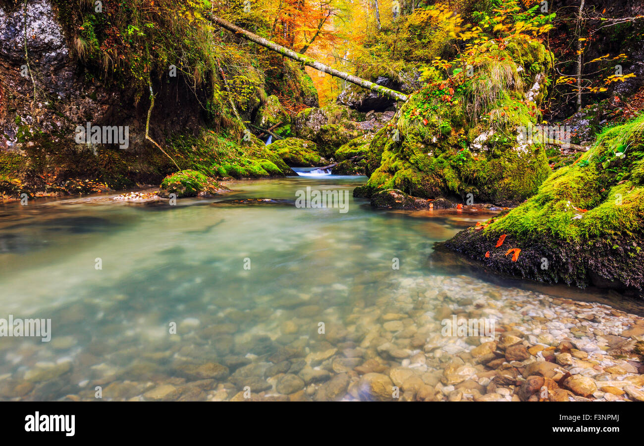 River cascade in a forest in Transylvania mountains-Romania Stock Photo