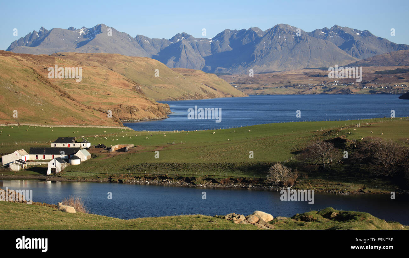Gesto Farm with Loch Harport between the farm and the Cuillin Mountains, Isle of Skye, inner Hebrides, Scotland Stock Photo