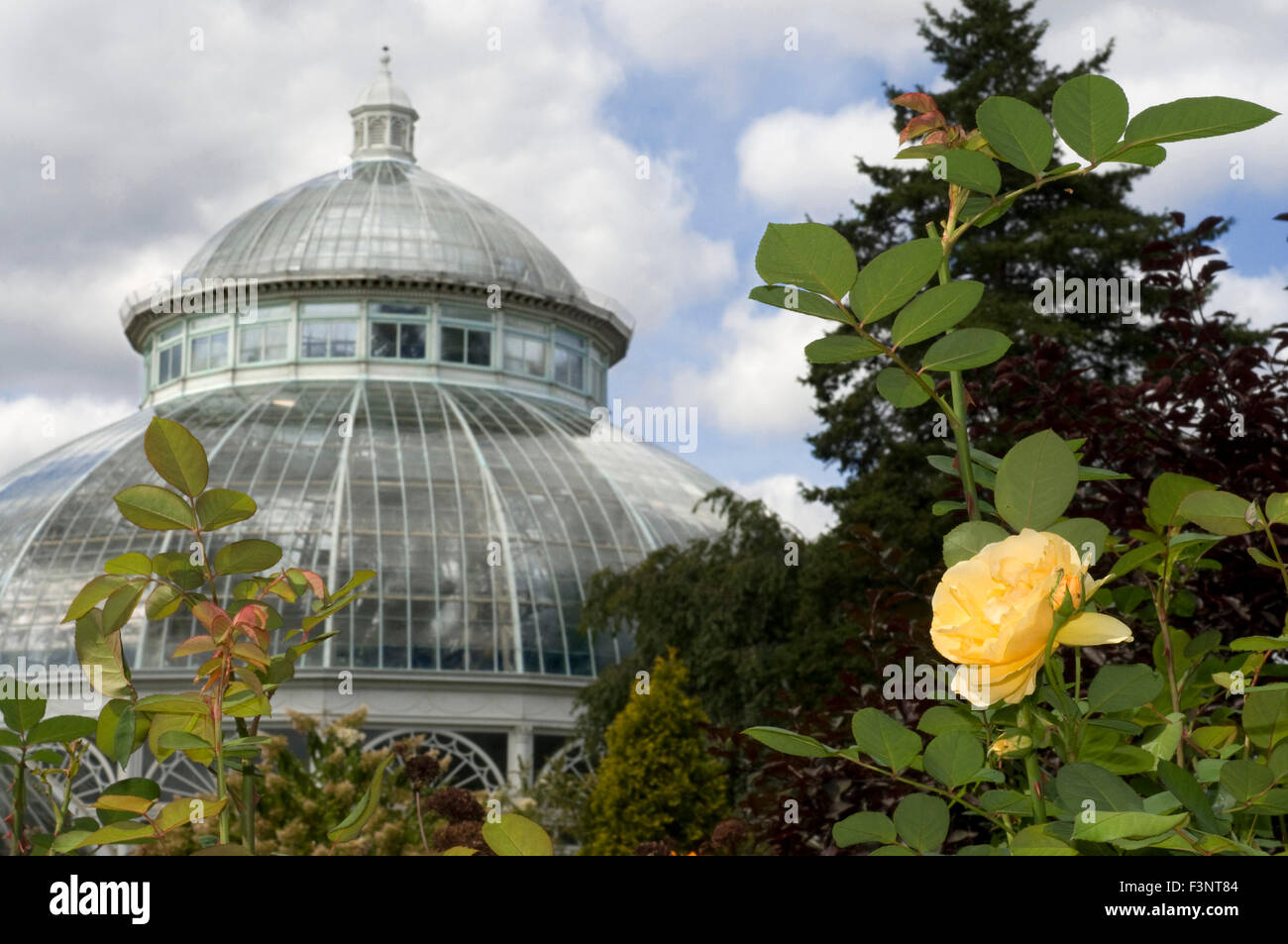 New York Botanical Garden. Kazimoroff Bronx River Parkway and Boulevard. It has a large Victorian conservatory named Enid A Haup Stock Photo